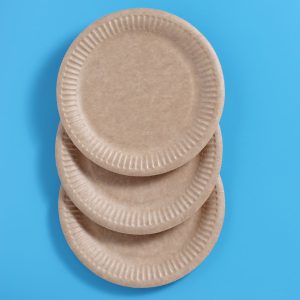 PLatos Biodegradables